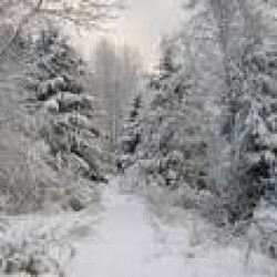 Signifigant Winter Storm Incoming